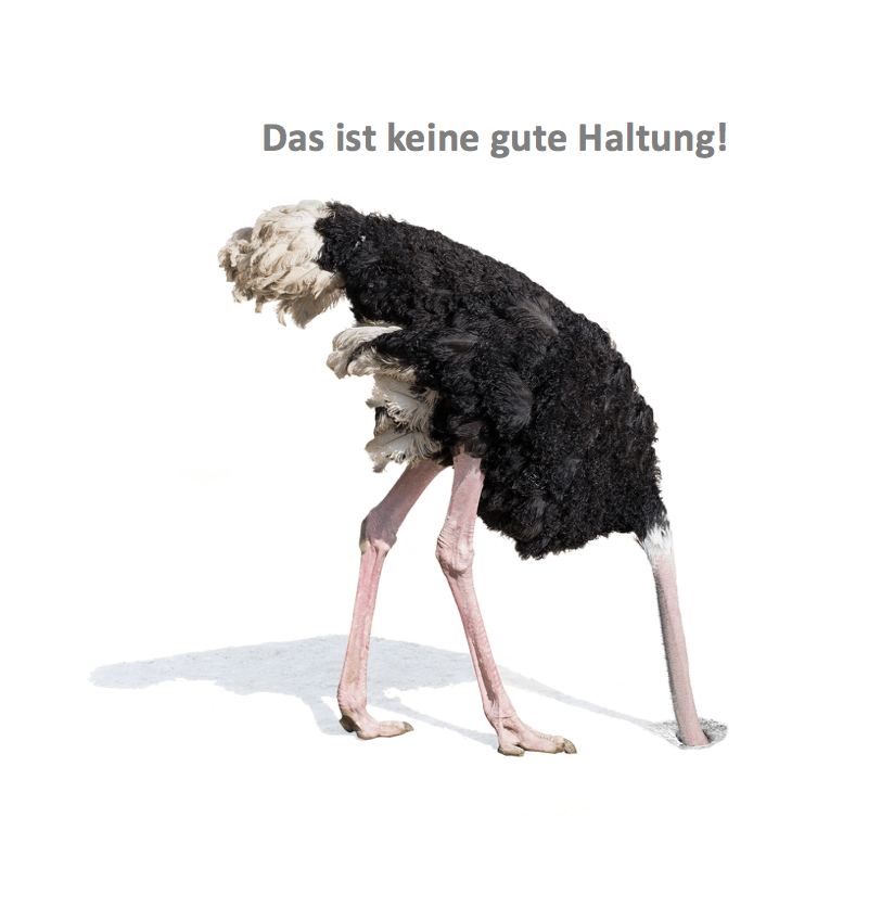 [Bild: Vogel-Strauss-Haltung-.png]